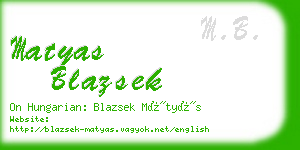 matyas blazsek business card